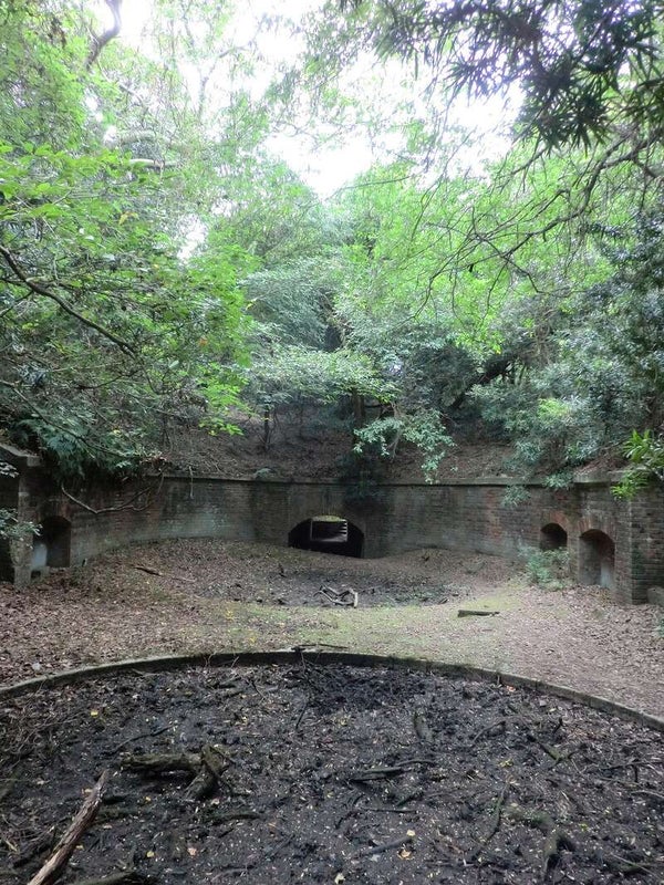 【大阪府内発】 歴史と自然の絶景を体感!無人島「友ヶ島」探索の旅 日帰り1